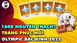 1600 Nguyên Thạch và Skin Mới? | Olympic Bắc Kinh 2021 | Sự Thật Đằng Sau Bức Ảnh Của Mihoyo