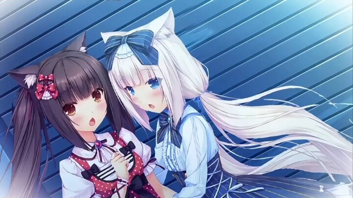 nekopara edit, nightcore :3