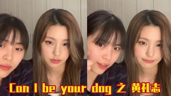 [ITZY] “Can I Be Your Dog” – Ryujin’s Episode—Well, it’s finally our turn, kitties!