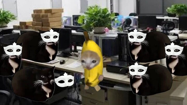 【Meme Kucing】Sedang Sarapan di Meja Kerja, Bos Merayap Keluar dari Bawah Meja ②