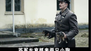 狗肉冲锋队