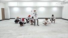 BTS - Fire (Dance Practice)