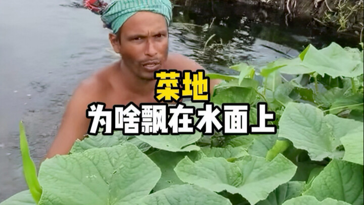 Why are vegetable gardens floating on water? #FloatingVegetableGarden #GrowingVegetables #Bangladesh