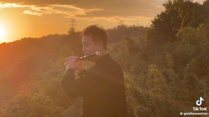 The untamed song🫶