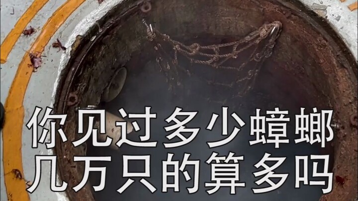 مبنى مكاتب صغير جدًا يخفي في داخله عشرات الآلاف من الصراصير!