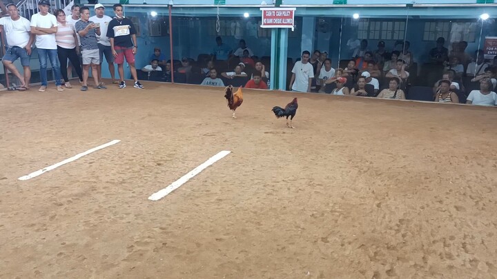 pu anim Ang tawagan lagi sa warriors ko.