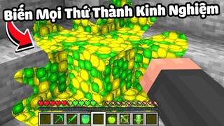 Minecraft nhưng mọi thứ Chạm Vào biến thành Kinh Nghiệm