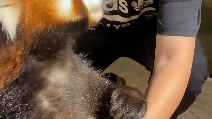 But I'm really curious what it tastes like.