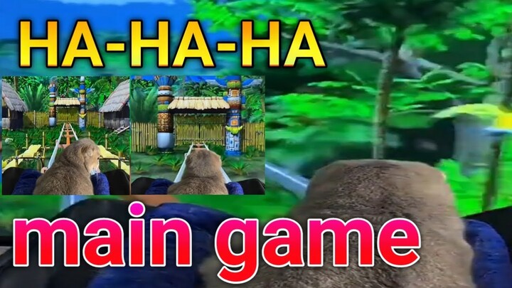 Bikin ketawa kucing lucu main game