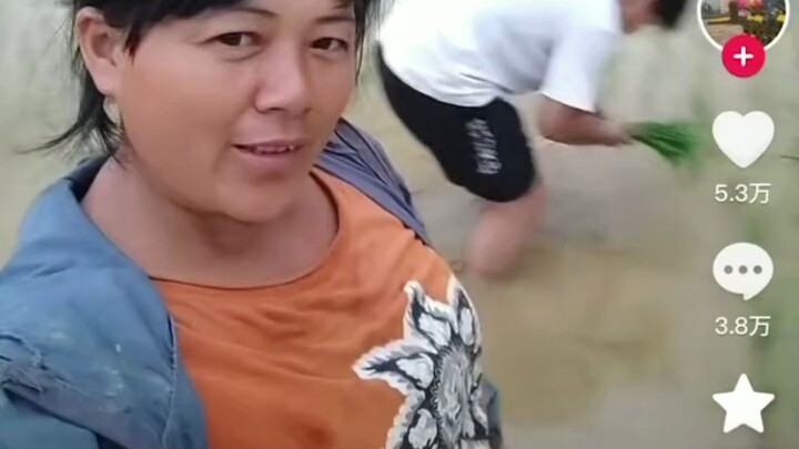 โอ้ คุณชายบ้านข้าเกี่ยวข้าวเป็นแล้วนะ