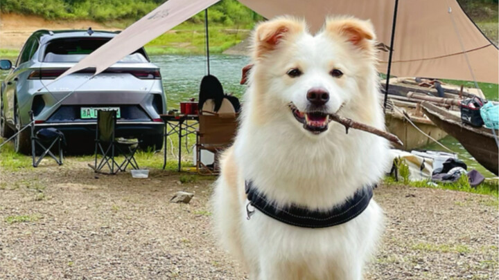 Camping and hot pot go perfectly together!