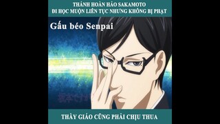 Tóm Tắt Phim Anime Hay : Thánh hoàn hảo Sakamoto phần 2