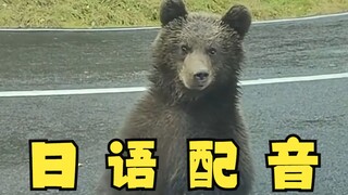 I'm cute, please give me money! Japanese dubbing