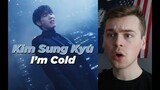 FROZEN SOLID (김성규(Kim Sung Kyu) 'I'm Cold' MV Reaction)