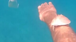 I found something that gave me goosebumps while diving! My sanity level dropped like crazy!