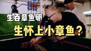 "Mythbusters" กลืนไข่ปลาหมึกดิบๆ คุณจะตั้งครรภ์ลูกปลาหมึกได้หรือไม่?