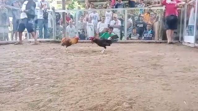 tinadtad😂😂😂