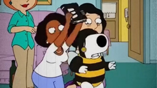 Poor Brian, Family Guy