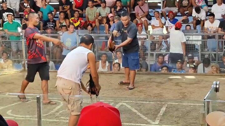 goldenboy x bostonraptor galing kay sp win