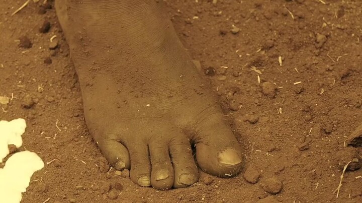 A scene you’ll never forget 🔥