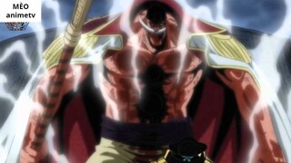 Râu Trắng Bố Già Hùng Mạnh Nhất của One Piece _ 8