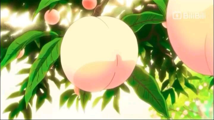 Trái cây nhiệt đới ngày hè