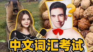 Orang asing menjalani tantangan serius dalam menguji kosakata bahasa Mandarin! Apa sih nama benda in