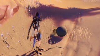 Does anyone watch bugs push shit in the desert like this? My sino is not clean!