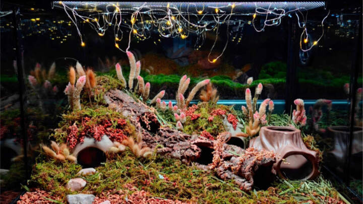 Landscaping made from grains and cereals you’ve never experienced before