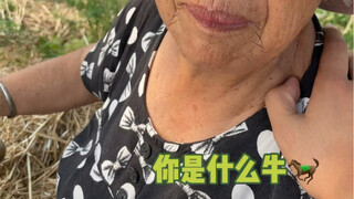 หากคุณไม่มีอะไรทำ คุณช่วยฉันเกี่ยวข้าวโพดได้ไหม?