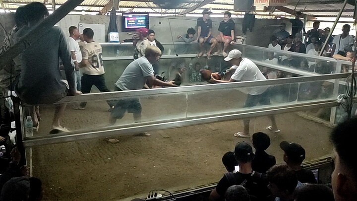 SBR 1st fight win✅