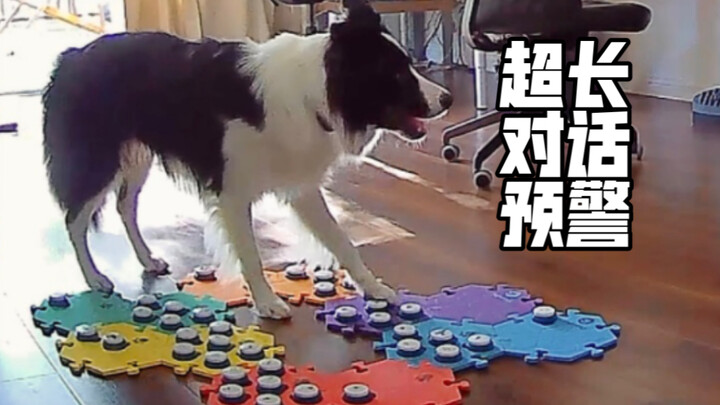 أطول محادثة لي مع بونبون حتى الآن