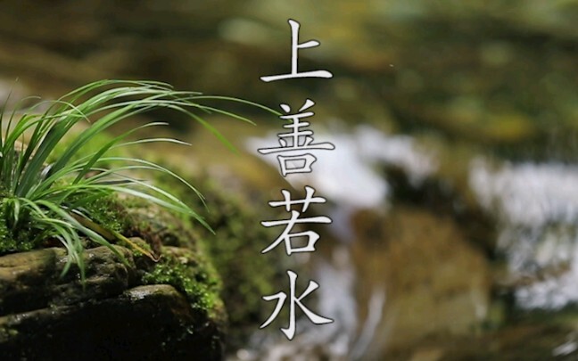 Wudang Light-Body Skill Heir, Master Shixing, Demonstrates Hilarious Water-Running