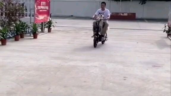 ngáo lai con lùn nè cưng xỉu