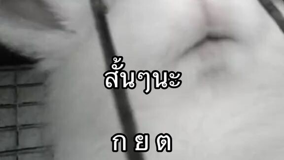 กยต