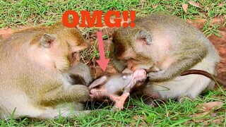 OMG!!, POOR BABY MONKEY NO CRYING WHILE MAMA MISTREAT LIKE THIS, BABY MONKEY NOT GET MILK​ LONG TIME