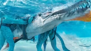 阿凡达之下水道