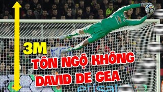 Đừng xem video này nếu bạn không tin vào sức mạnh siêu nhiên của De Gea