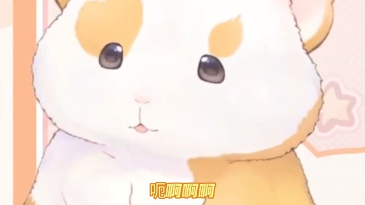 “Please bring your guinea pig to court…”