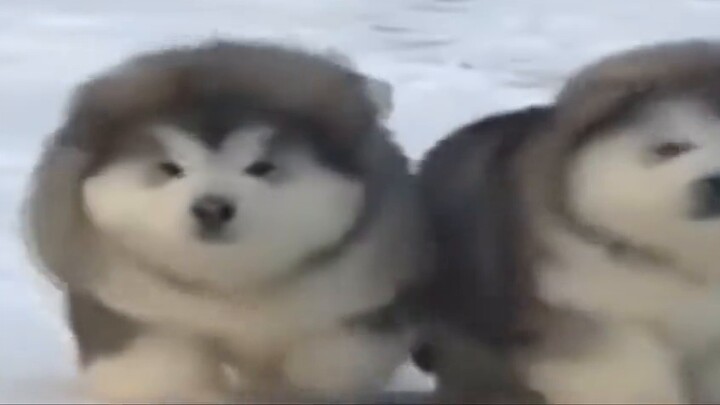 The music of Star Dome Railway feels like...