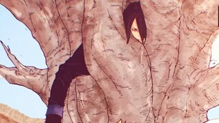 Bagaimana Sasuke Bisa Kalah Dan Menjadi Pohon Shinju
