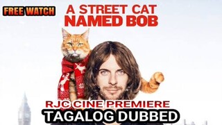 A STR3ET CAT NAME D BOB TAGALOG DUBBED COURTESY OF RJC CINE PREMIERE