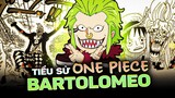 ONE PIECE | BARTOLOMEO LÀ AI? ĐẦU MÀO GÀ TRIỂN KHAI FANDOM TRÊN BIỂN