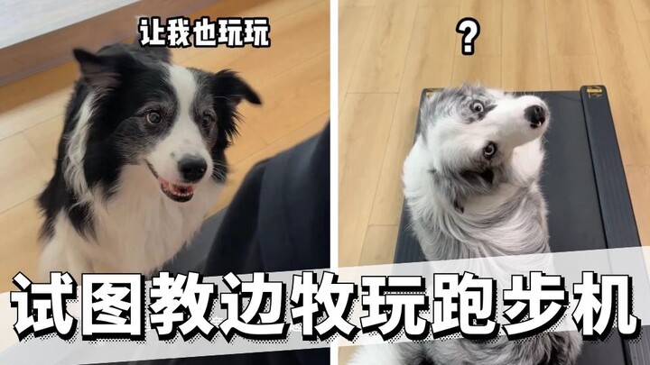 ฉันสงสัยว่าการเล่นลู่วิ่งนั้นโอลี่ดูเองแล้วก็ทำได้เอง