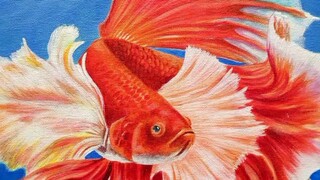 fighting fish painting.🖌️🎨