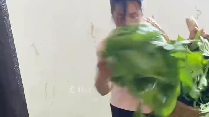 تغذية دودة القز لمدة شهر، ربح من 7 إلى 8 آلاف في أدنى تقدير، ومن 10 إلى 20 ألفاً في أعلى تقدير، وبعد