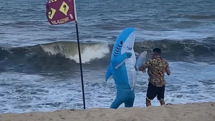 To warn people about the possible presence of sharks in the sea and discourage swimming, the managem