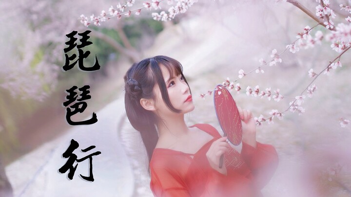บทเพลงพิพา