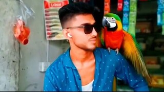 Man and Parrot in Front of the Shop