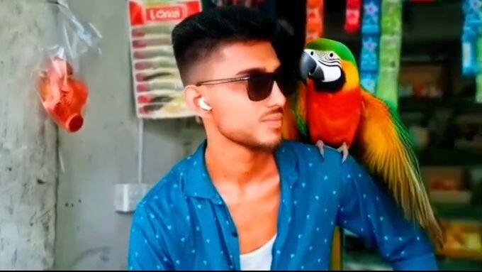 Man and Parrot in Front of the Shop